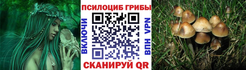 Псилоцибиновые грибы мицелий  Купить закладки  Емва 